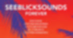 SEEBLICK SOUNDS