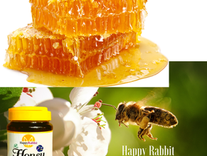 Happy Rabbit Pure Honey Distributor in the Philippines