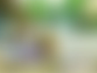 Capers in Vinegar Distributor