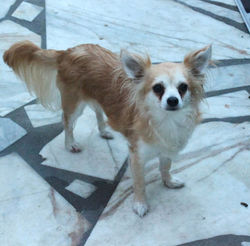 OURANOS 3 ANS