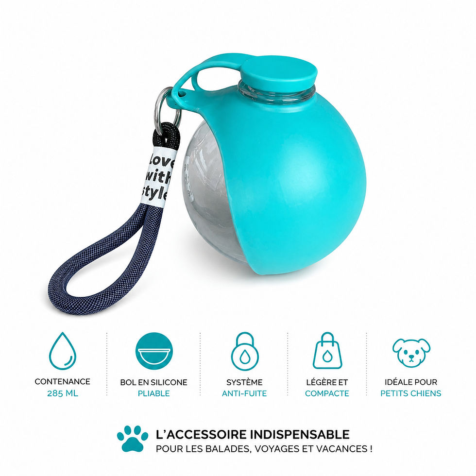 Miniature : Bouteille d’eau pour chien 💦