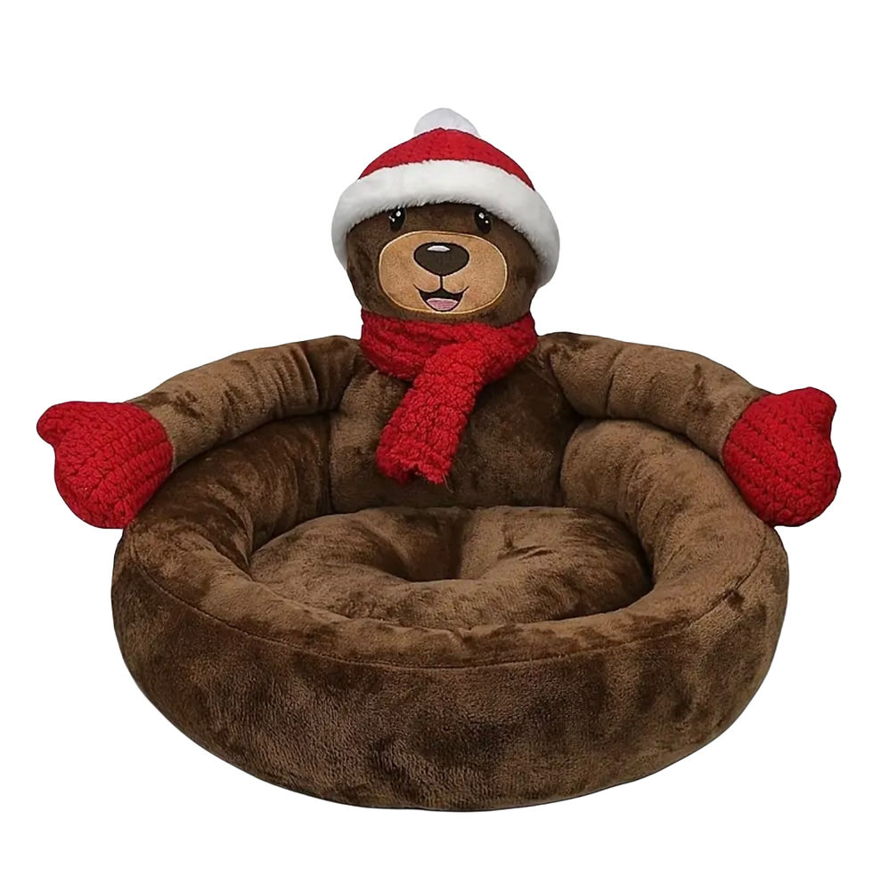 Panier douillet Ourson d’hiver 🛷❄️🎅🐾🐶