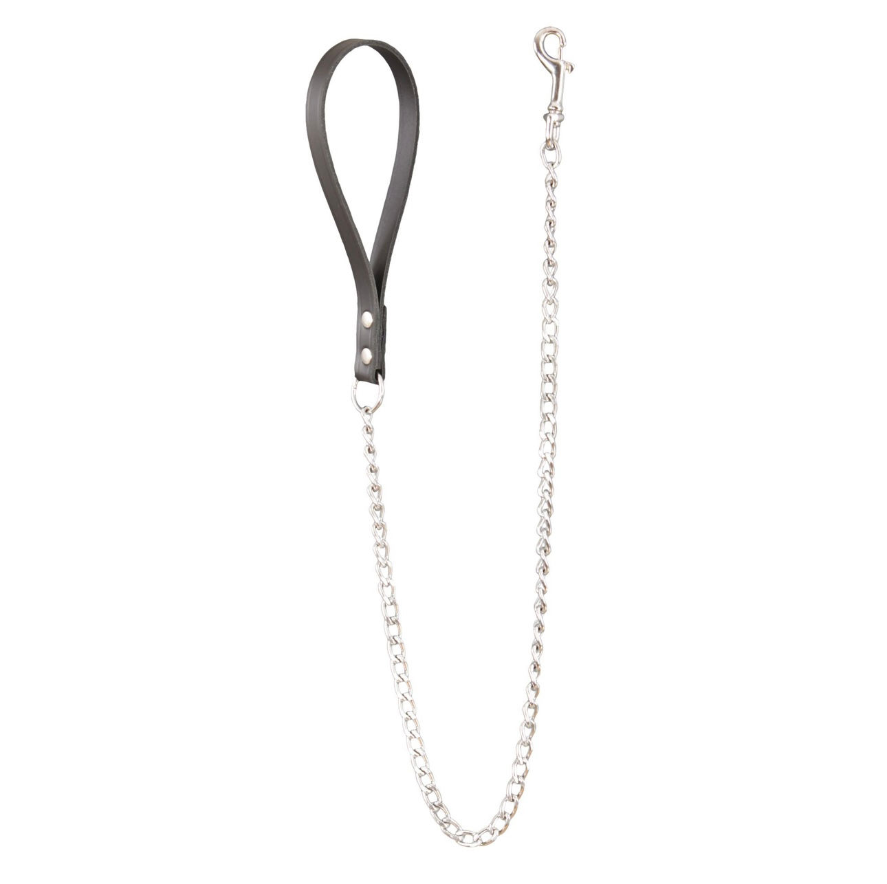 Laisse en métal Anti vol 