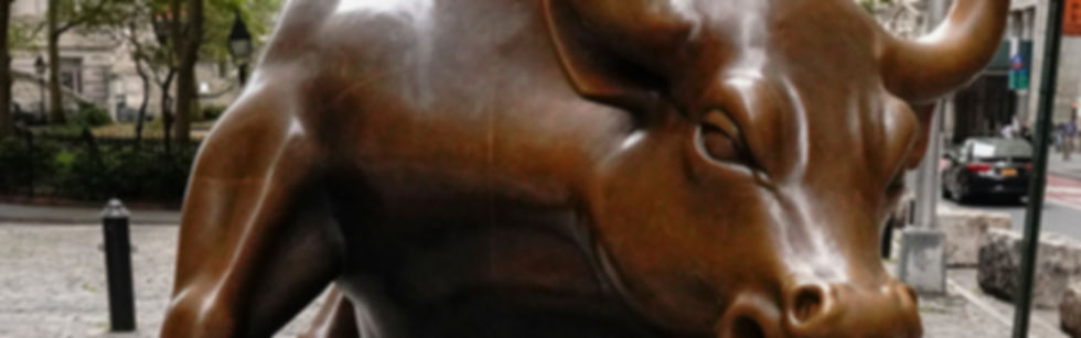 210220-charging-bull-al-1143.jpeg