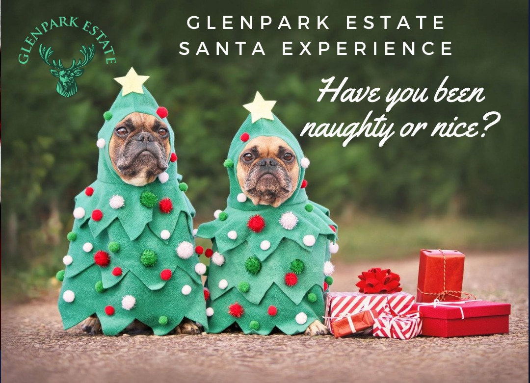 Bring Your Dog To Visit Santa Beatties Events bring-your-dog-to-visit-santa-beatties-events