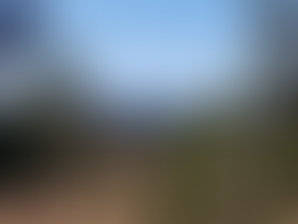 Things you need to know BEFORE buying land.