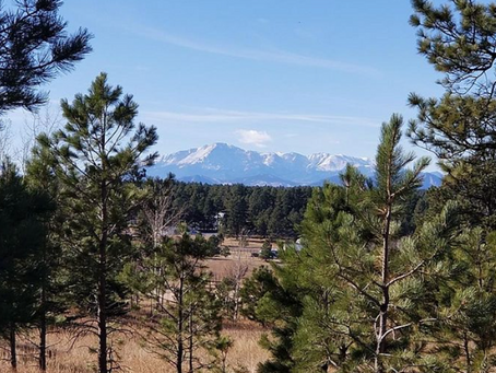 Things you need to know BEFORE buying land.