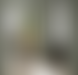 Have you used the 2022 Color of the Year in your home yet? There's still time!