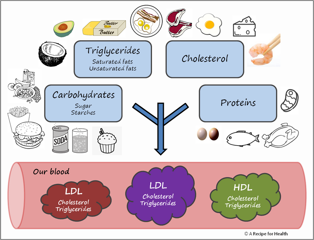 0023 Cholesterol good or bad? Part I