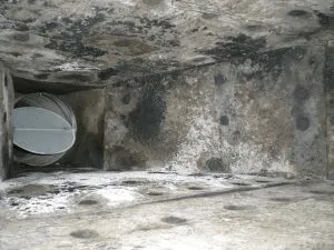 Image of mold inside ductwork