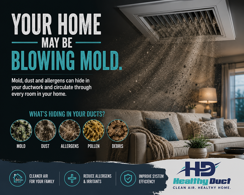 Your Home May Be Blowing Mold