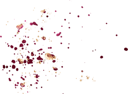 Burgundy (4).png