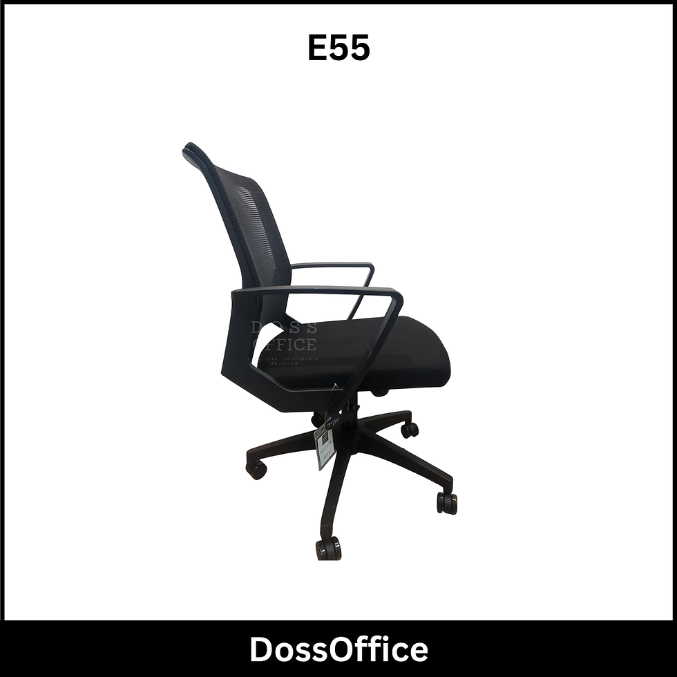 Thumbnail: ECONOMIC E55