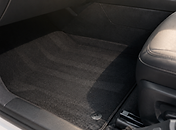 interior_carpet.png