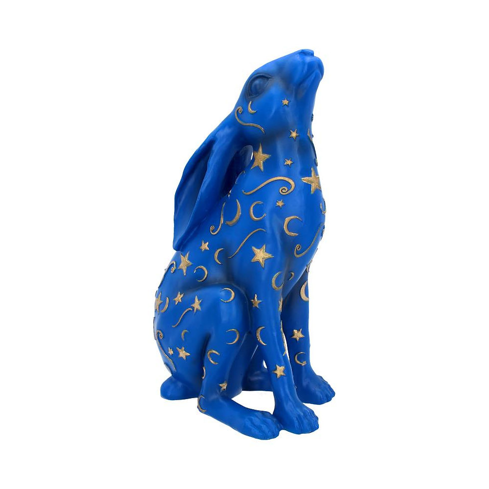 Thumbnail: Lepus Hare