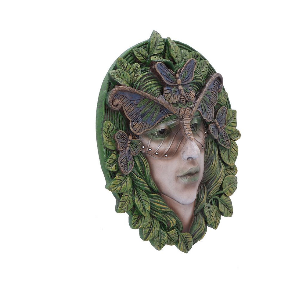 Thumbnail: Fern Tree Spirit