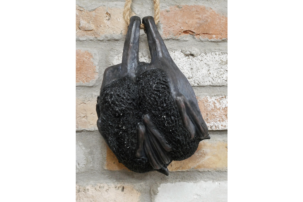 Thumbnail: Hanging Bats