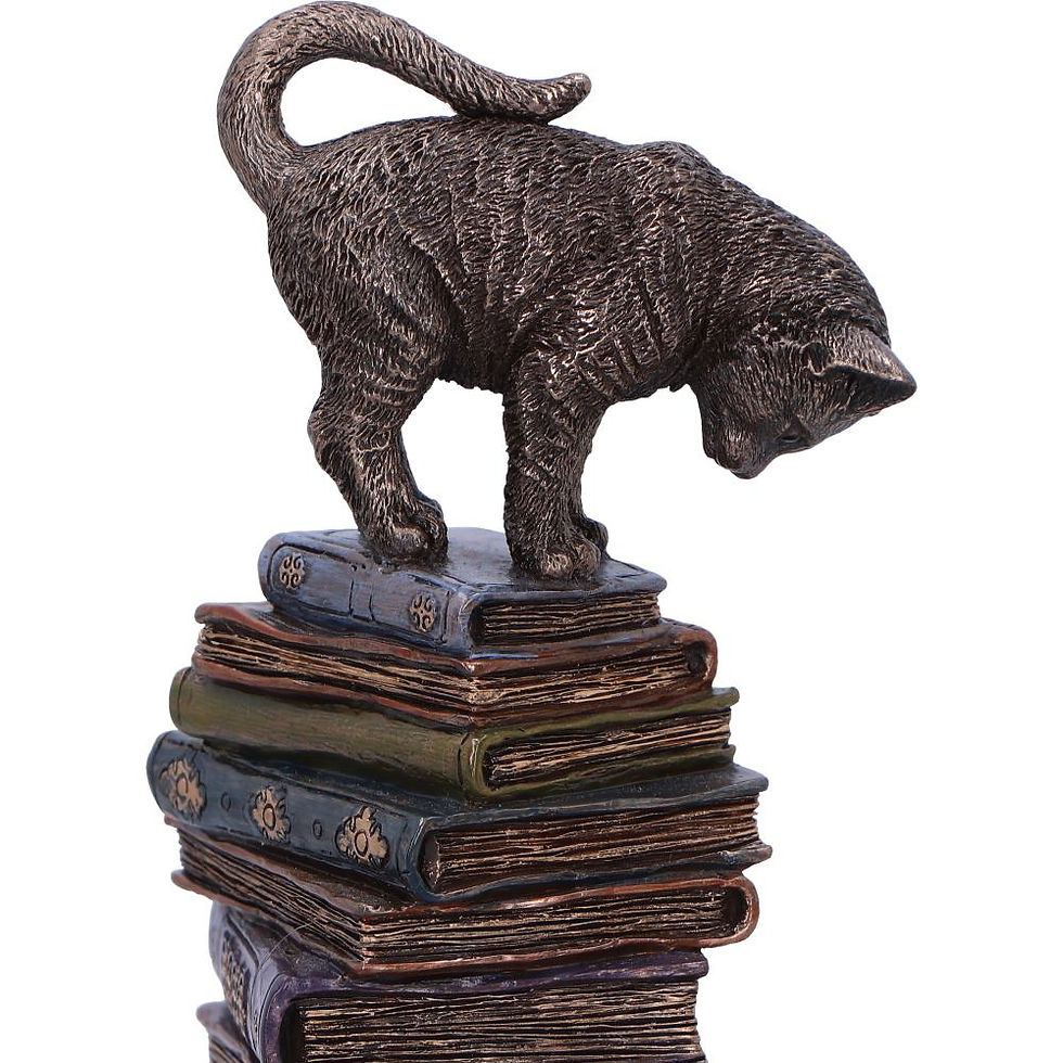 Thumbnail: Feline Scholars