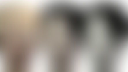 Just a Little Nibble