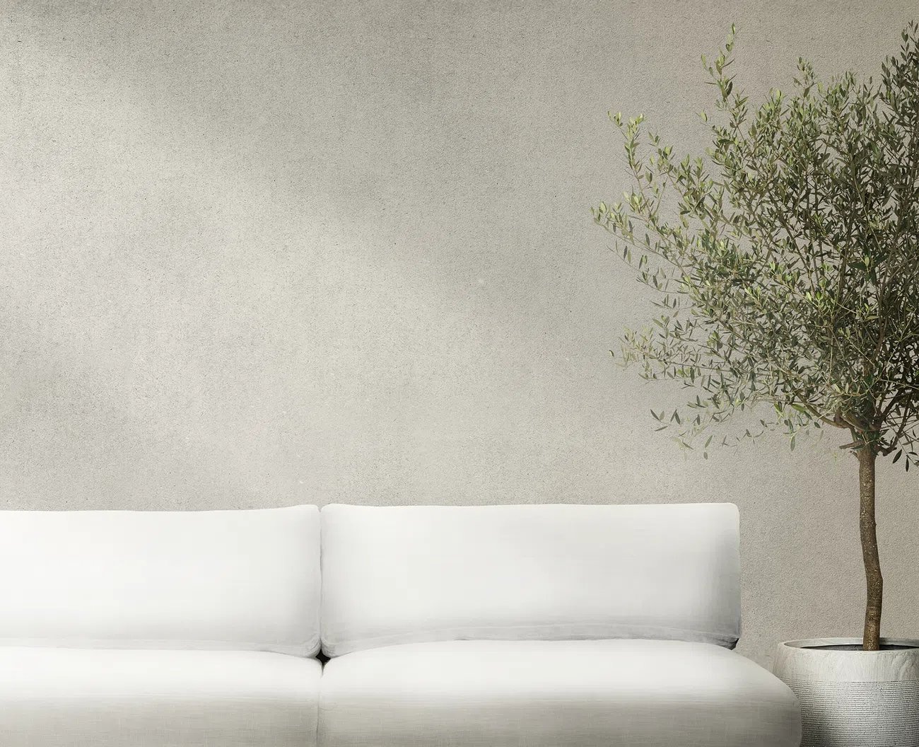 plant couch.webp