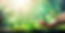 istock environment.jpg