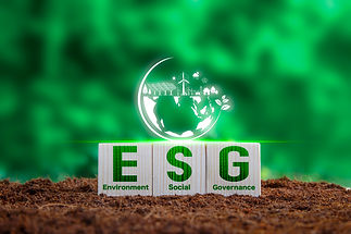 esg.jpg
