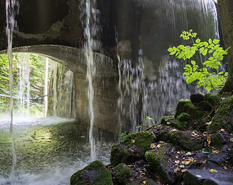 istock mining forest.jpg
