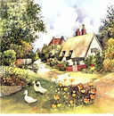 Weedon