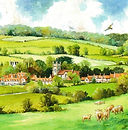 Hambleden Valley 492.jpg