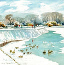 Tring Reservoir in Winter XMN288