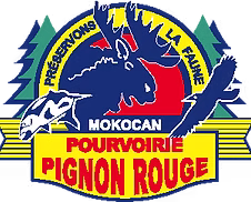 site_icon.avif