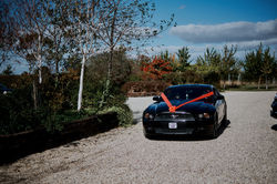 DayandKnightPhotography7