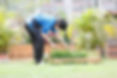 HorticulturalTheory