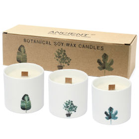 Large Botanical Candles - Wild Jasmine 455g