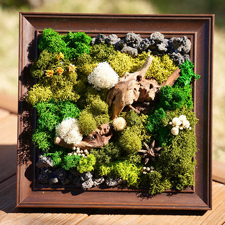 Green One Workshop_Moss.jpg