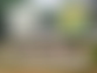 Reformas do Centro Ecológico