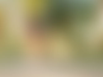 Diz Ağrısı Neden Olur? Menisküs, Kireçlenme ve Kıkırdak Problemlerine Çözümler