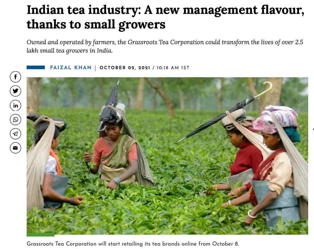 Indian tea industry: A new management flavour, thanks to small growers