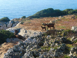 100-Mallorca-2018-Oktober