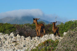 056-Mallorca-2018-Oktober