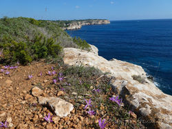 118-Mallorca-2018-Oktober