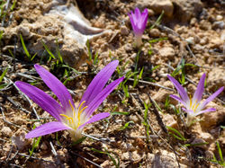 136-Mallorca-2018-Oktober