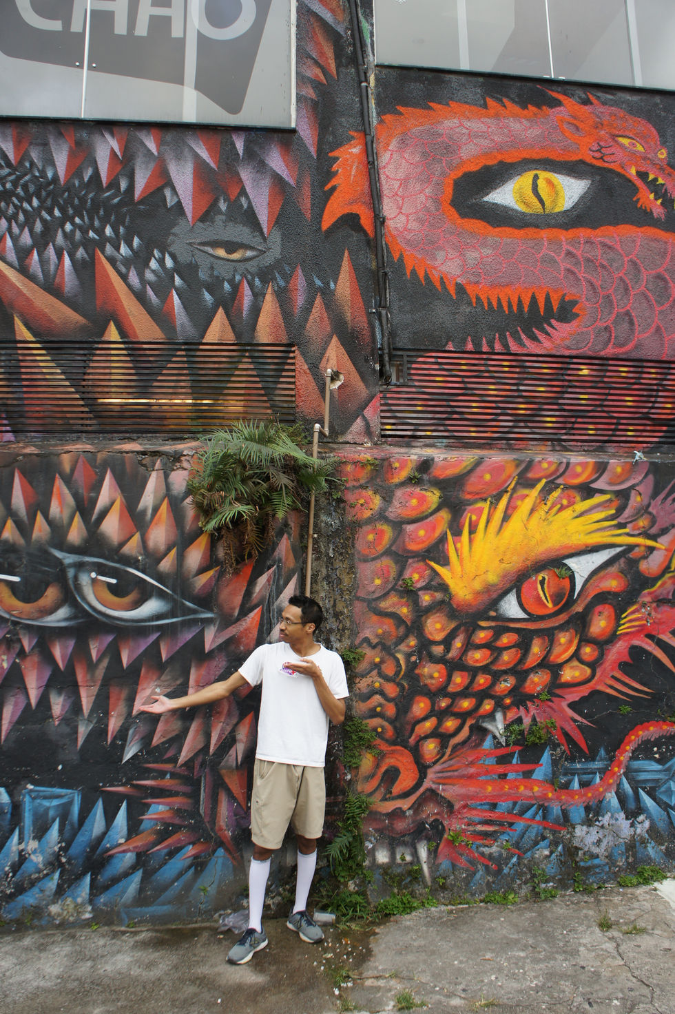 TD Orchestra in São Paulo, Brazil, January 2025.