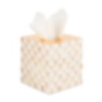 MacKenzie-Childs Mocha Check Glass Boutique Tissue Box Cover