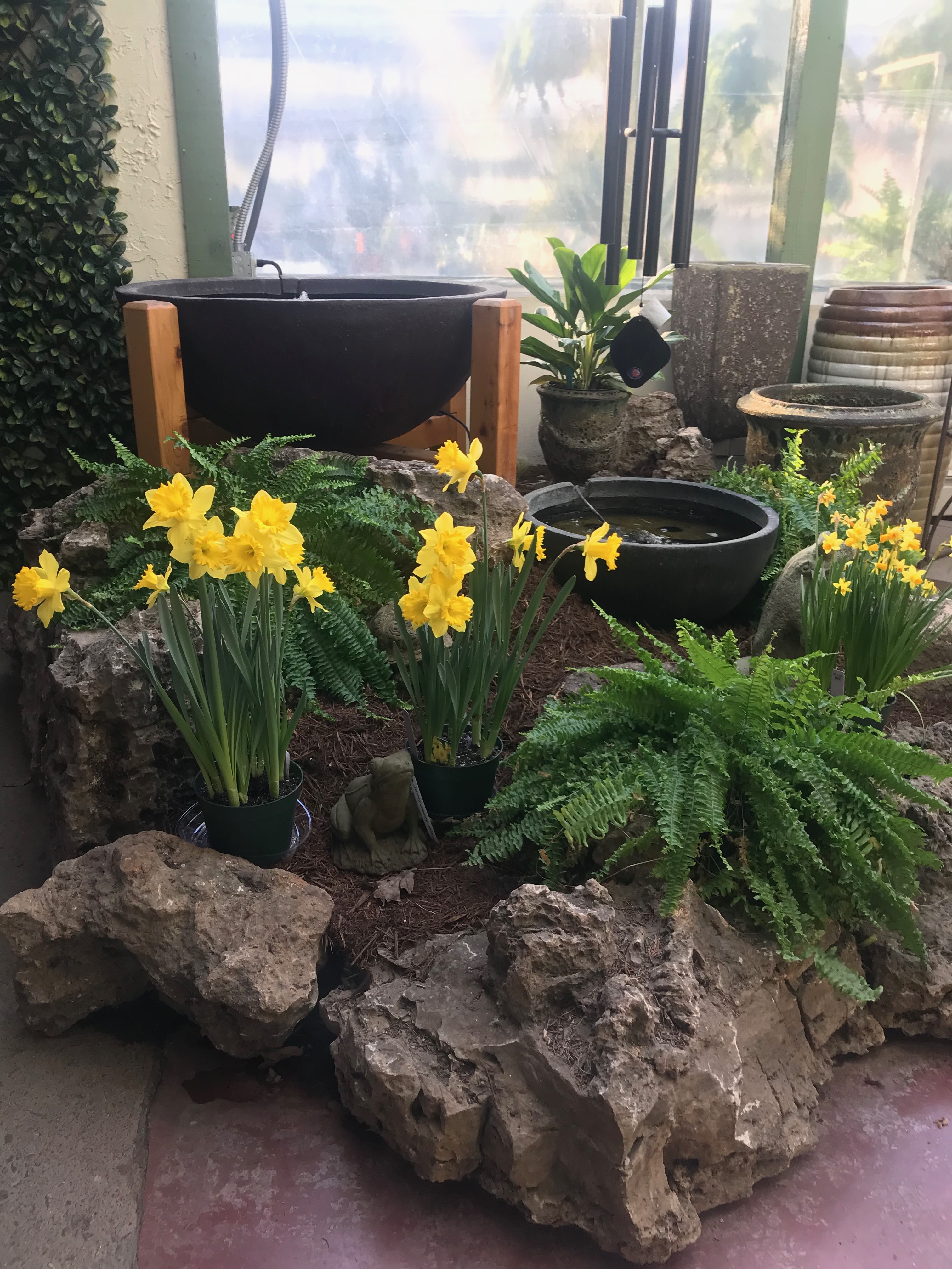 Springfield MO Garden Center &amp; Nursery