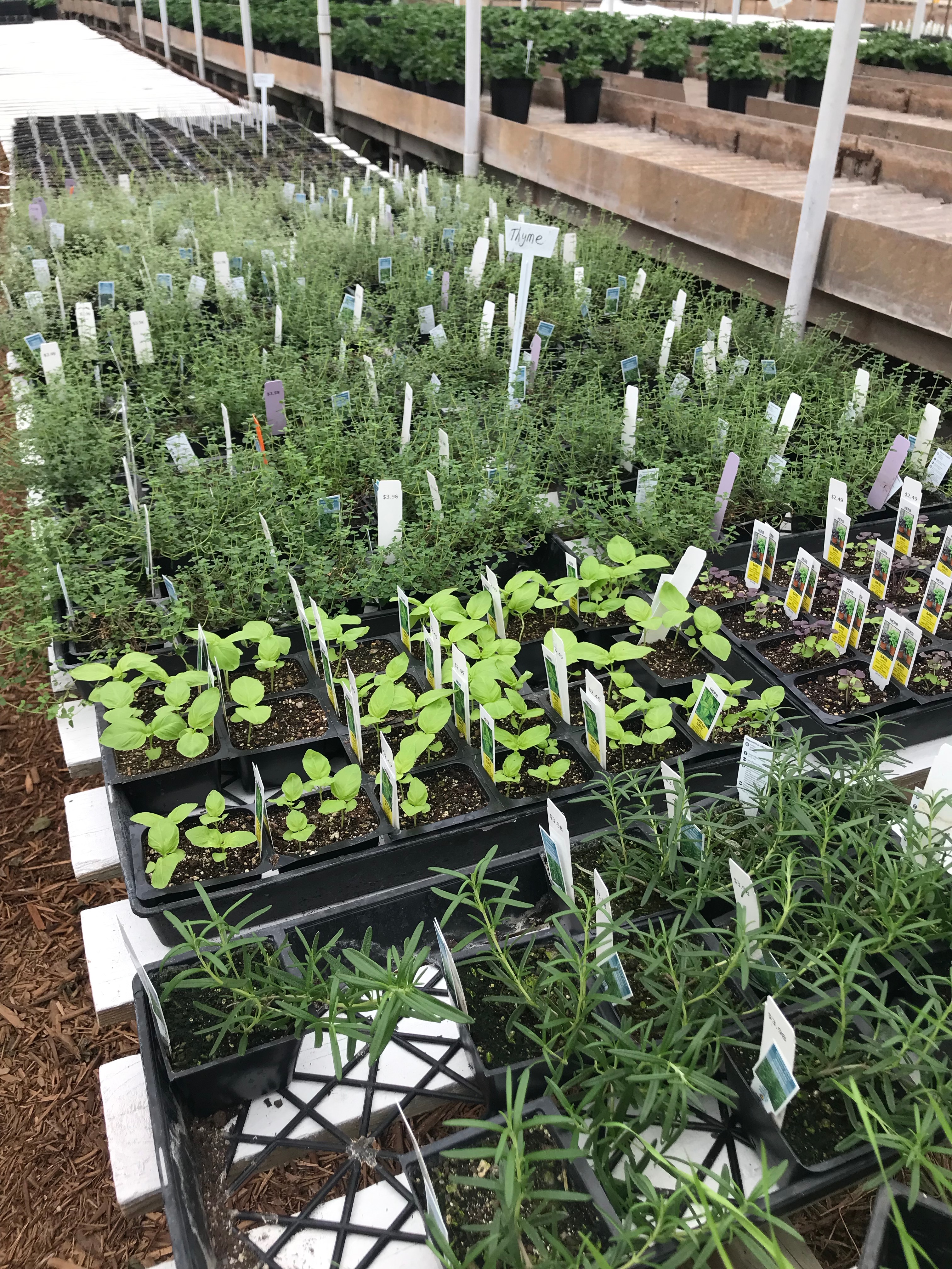 Springfield MO Garden Center & Nursery