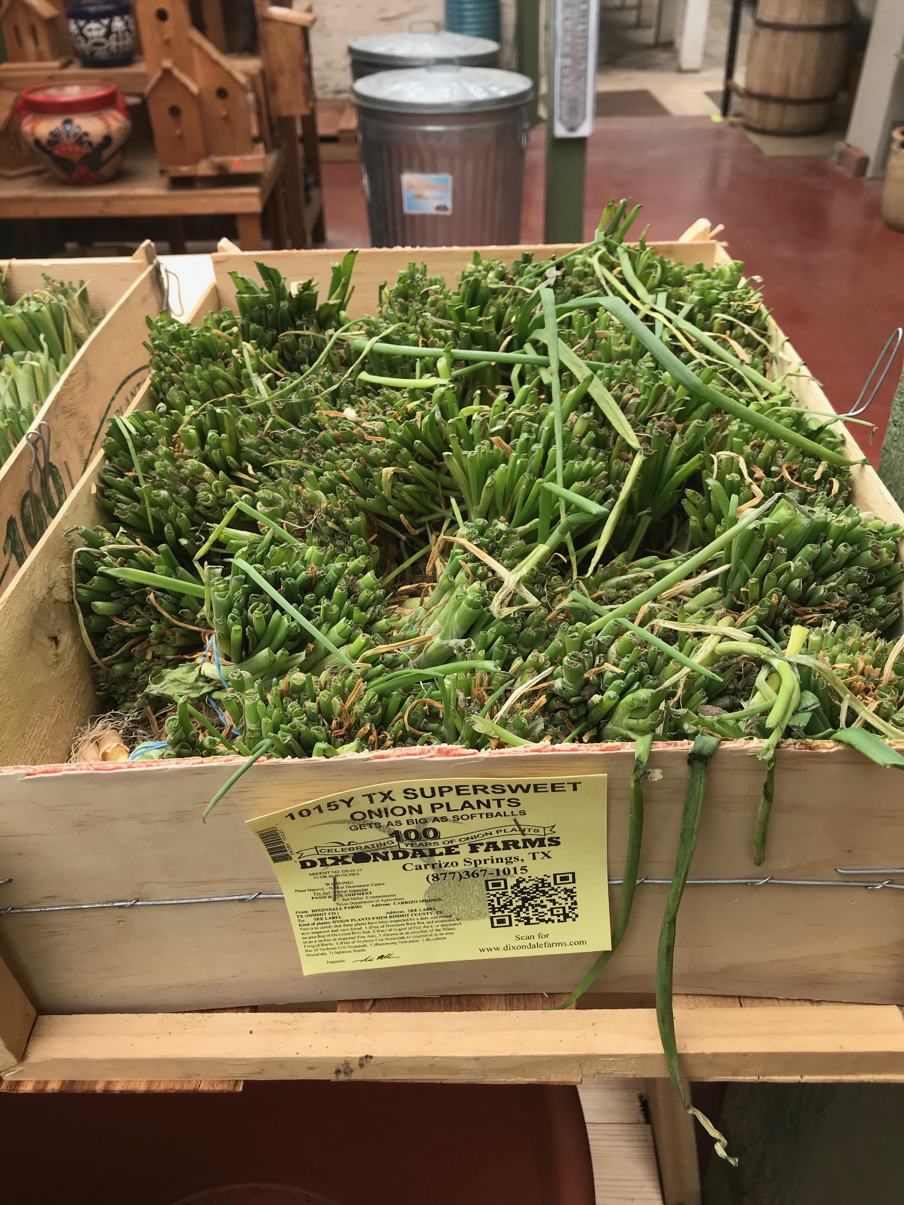 Springfield MO Garden Center & Nursery