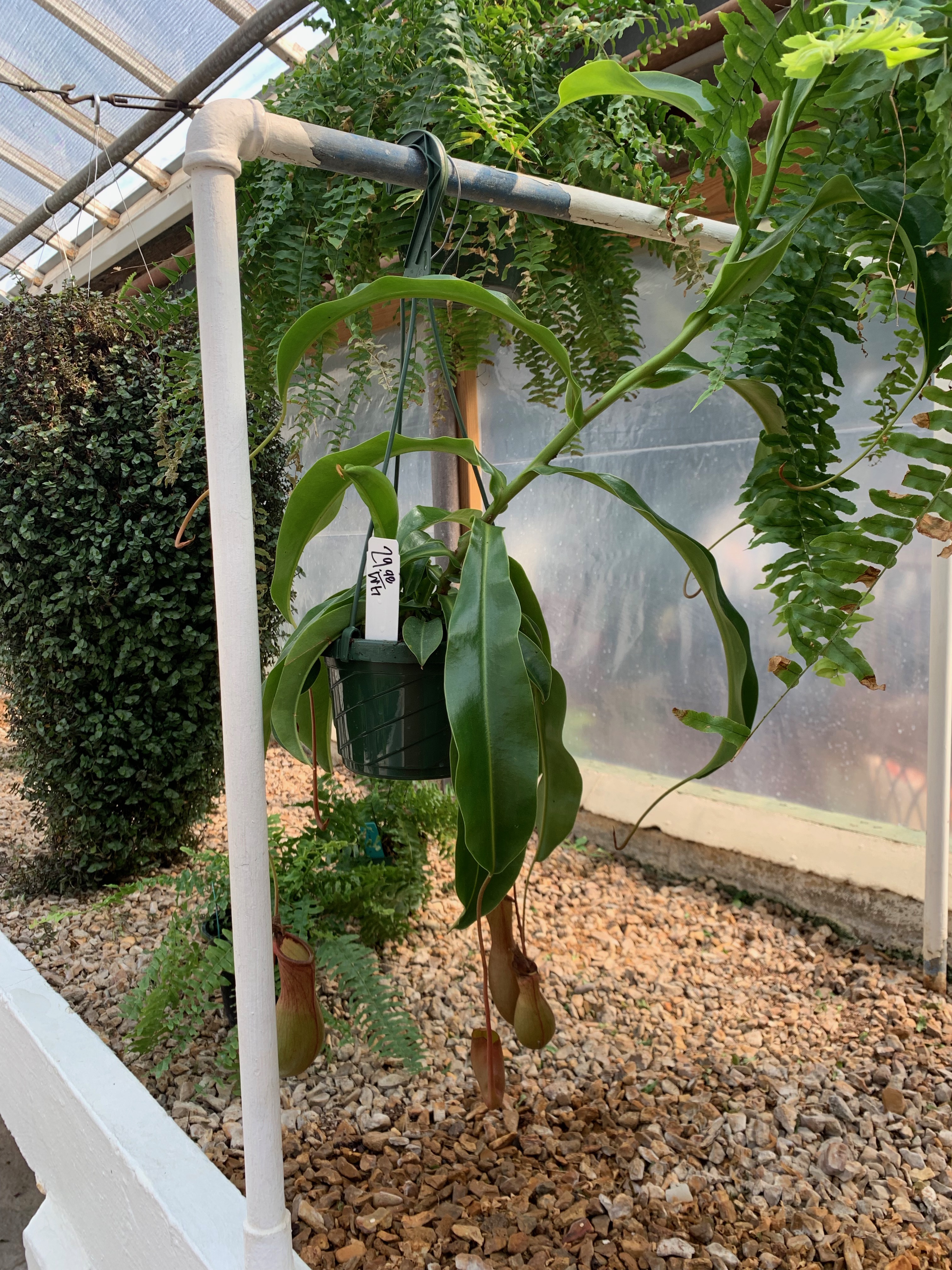 Springfield MO Garden Center & Nursery