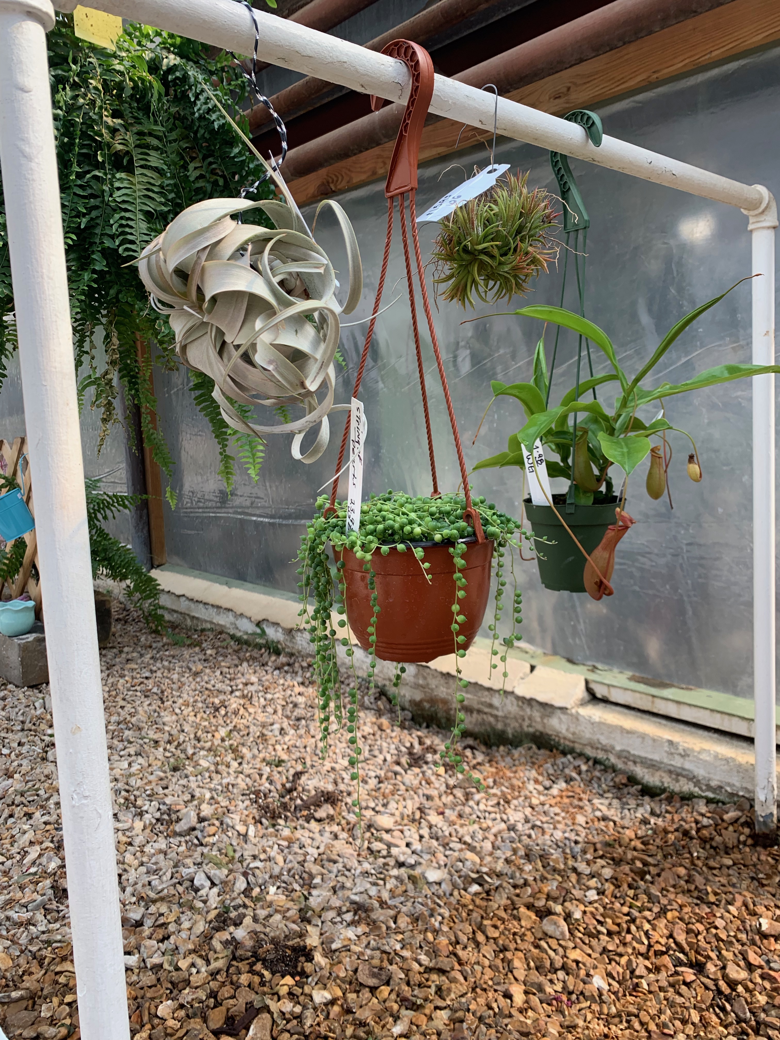 Springfield MO Garden Center & Nursery