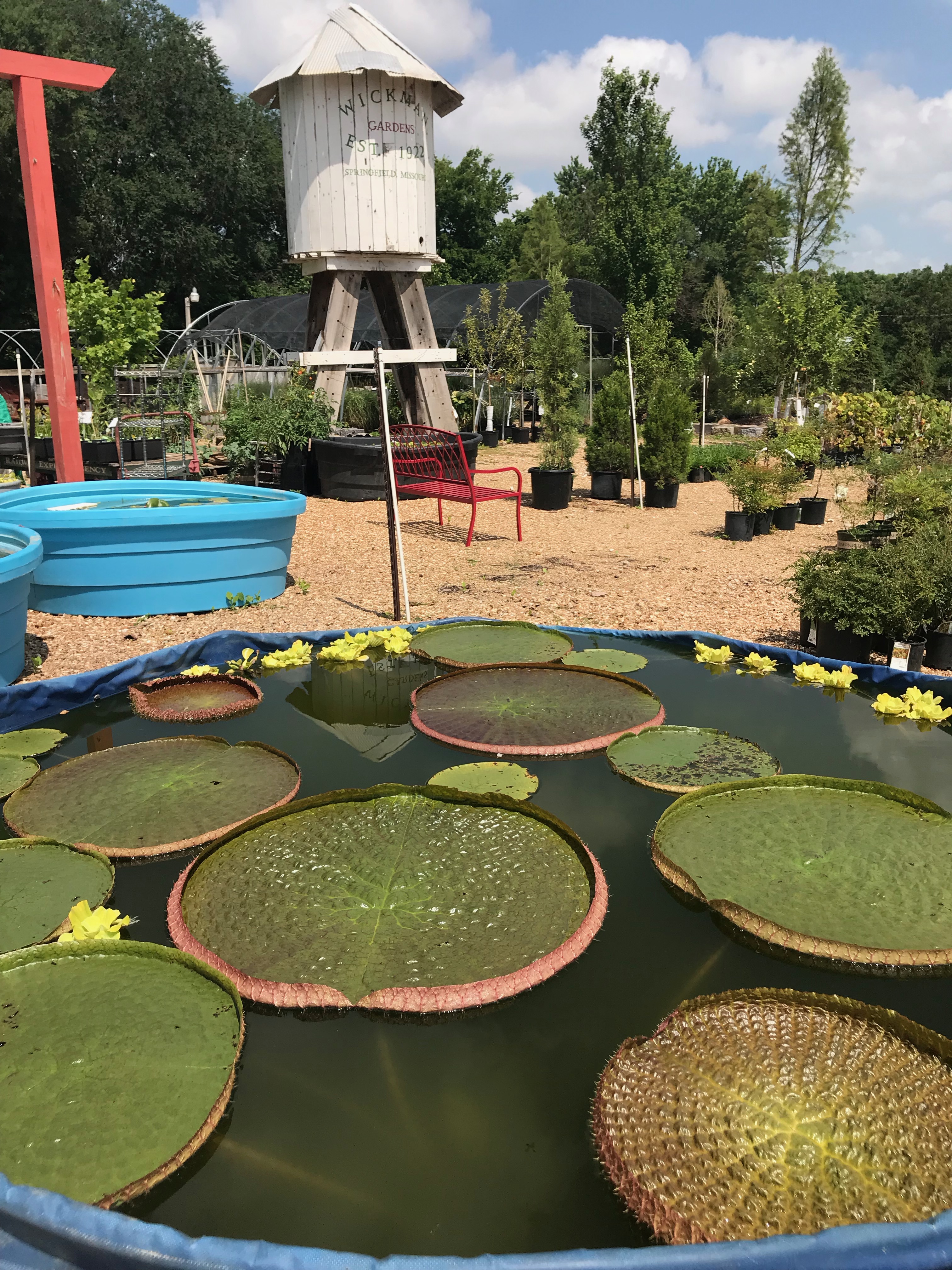 Springfield MO Garden Center & Nursery
